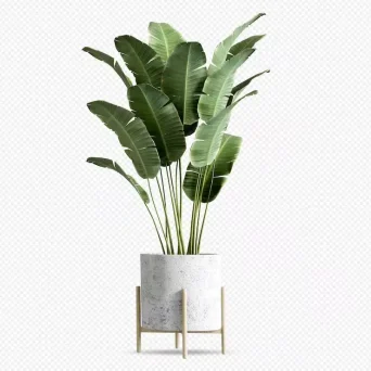 فایل لایه باز گلدان سفید پایه دار با گل آپارتمانی سبز رندر سه بعدی