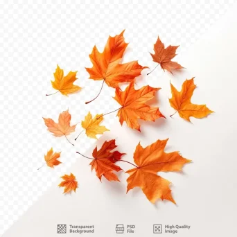 لایه باز یک صفحه نمایش با برگ های قرمز و نارنجی پاییزی روی آن